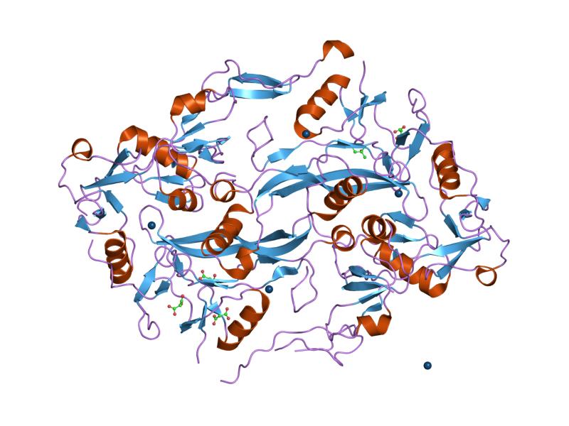 Follistatin-3.jpg